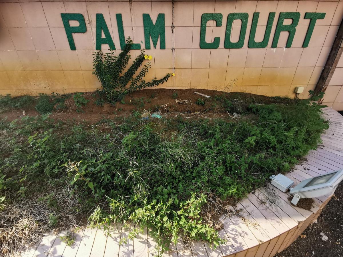 Diy Palm Court Bedroom 关丹 外观 照片
